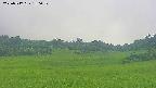 area3-20250717180052.jpg