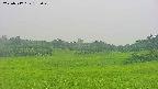 area3-20250717182050.jpg