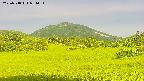 area3-20250718054053.jpg
