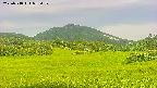 area3-20250718055054.jpg
