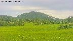 area3-20250718060053.jpg