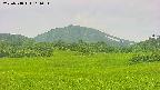 area3-20250718101054.jpg