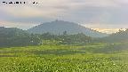 area3-20250718175051.jpg