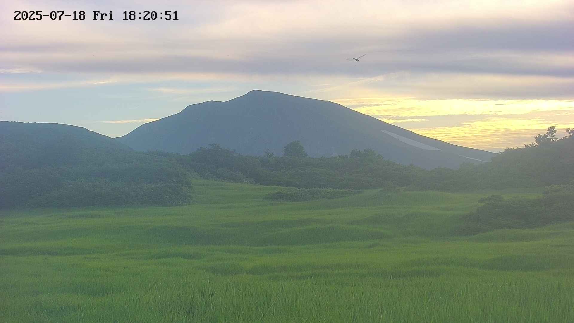 area3-20250718182052.jpg
