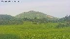 area3-20250719052055.jpg