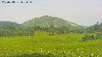 area3-20250719055056.jpg