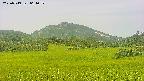 area3-20250719061059.jpg
