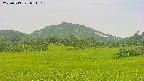 area3-20250719071107.jpg