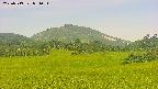 area3-20250719081055.jpg