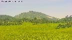 area3-20250719083058.jpg
