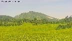 area3-20250719084059.jpg