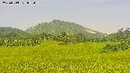 area3-20250719085100.jpg