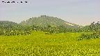 area3-20250719090059.jpg