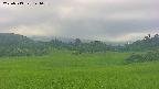 area3-20250719141056.jpg