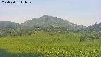 area3-20250720051052.jpg