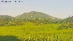 area3-20250720052054.jpg