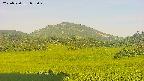 area3-20250720053050.jpg