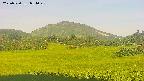 area3-20250720054049.jpg