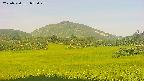 area3-20250720055050.jpg