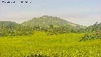 area3-20250720060055.jpg