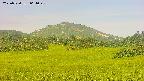 area3-20250720061050.jpg