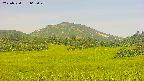 area3-20250720062051.jpg