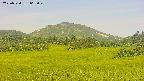 area3-20250720063050.jpg