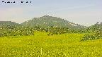 area3-20250720065052.jpg