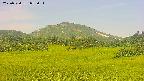 area3-20250720073052.jpg