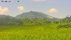 area3-20250720131241.jpg