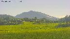 area3-20250720155129.jpg