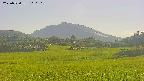 area3-20250720160114.jpg