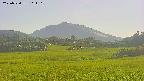 area3-20250720161122.jpg