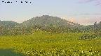 area3-20250721050051.jpg
