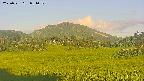 area3-20250721051051.jpg