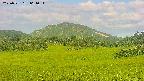 area3-20250721061055.jpg