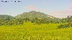 area3-20250721070050.jpg