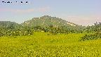area3-20250721073056.jpg