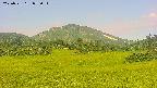area3-20250721075052.jpg