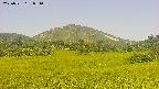 area3-20250721084056.jpg