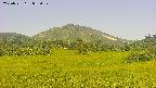 area3-20250721085055.jpg