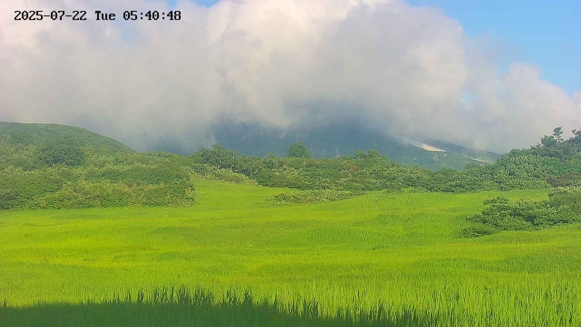 area3-20250722054049.jpg