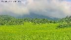 area3-20250722063050.jpg