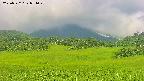 area3-20250722071051.jpg
