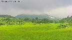 area3-20250722080051.jpg