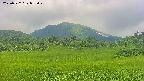 area3-20250722093050.jpg