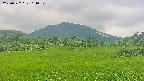 area3-20250722101051.jpg