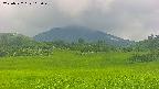 area3-20250722103047.jpg