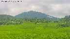 area3-20250722120056.jpg