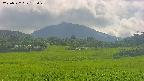 area3-20250722153049.jpg